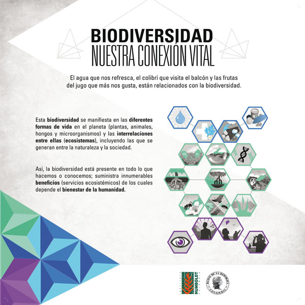 Inicia la exposición “Biodiversidad, nuestra conexión vital”
